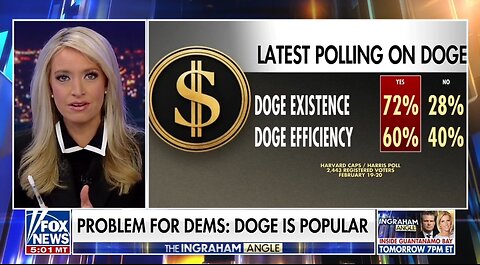 Kayleigh McEnany: Will Attacking DOGE Work For Democrats?