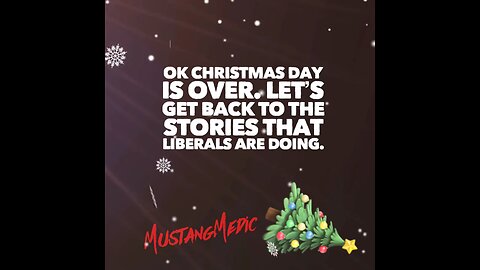 I hope you had a wonderful Christmas!