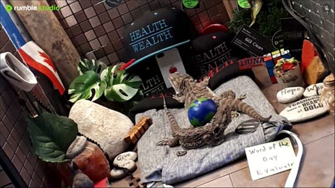 ⭕2025 Live Stream Day 12🔴 🍏Healthy4Life🐉 Mascots 🍎🐲 Meet Kobe & Health A Day In The Life Of Bearded Dragons🐲Day12🐉⭕Live🦎Stream🔴