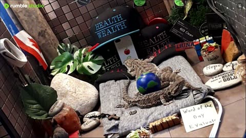 ⭕2025 Live Stream Day 12🔴 🍏Healthy4Life🐉 Mascots 🍎🐲 Meet Kobe & Health A Day In The Life Of Bearded Dragons🐲Day12🐉⭕Live🦎Stream🔴