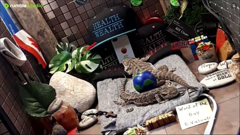 ⭕2025 Live Stream Day 12🔴 🍏Healthy4Life🐉 Mascots 🍎🐲 Meet Kobe & Health A Day In The Life Of Bearded Dragons🐲Day12🐉⭕Live🦎Stream🔴