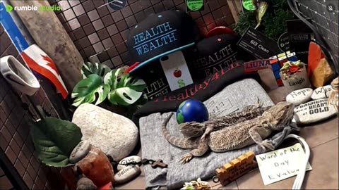 ⭕2025 Live Stream Day 12🔴 🍏Healthy4Life🐉 Mascots 🍎🐲 Meet Kobe & Health A Day In The Life Of Bearded Dragons🐲Day12🐉⭕Live🦎Stream🔴