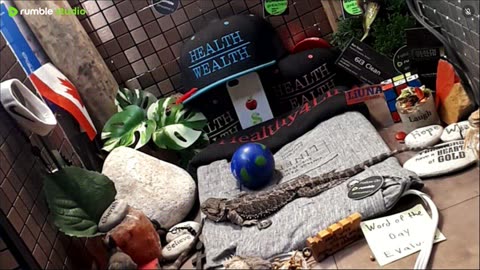 ⭕2025 Live Stream Day 12🔴 🍏Healthy4Life🐉 Mascots 🍎🐲 Meet Kobe & Health A Day In The Life Of Bearded Dragons🐲Day12🐉⭕Live🦎Stream🔴