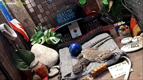 ⭕2025 Live Stream Day 12🔴 🍏Healthy4Life🐉 Mascots 🍎🐲 Meet Kobe & Health A Day In The Life Of Bearded Dragons🐲Day12🐉⭕Live🦎Stream🔴