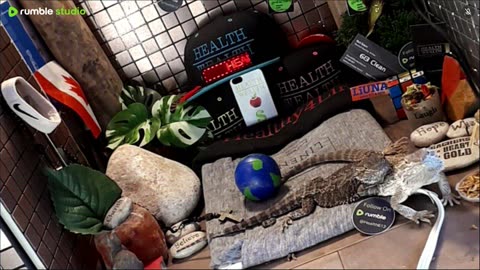 ⭕2025 Live Stream Day 12🔴 🍏Healthy4Life🐉 Mascots 🍎🐲 Meet Kobe & Health A Day In The Life Of Bearded Dragons🐲Day12🐉⭕Live🦎Stream🔴