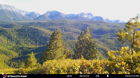 #10. Mark Wisdom - Trail Camera Videos - Eastern Oregon.