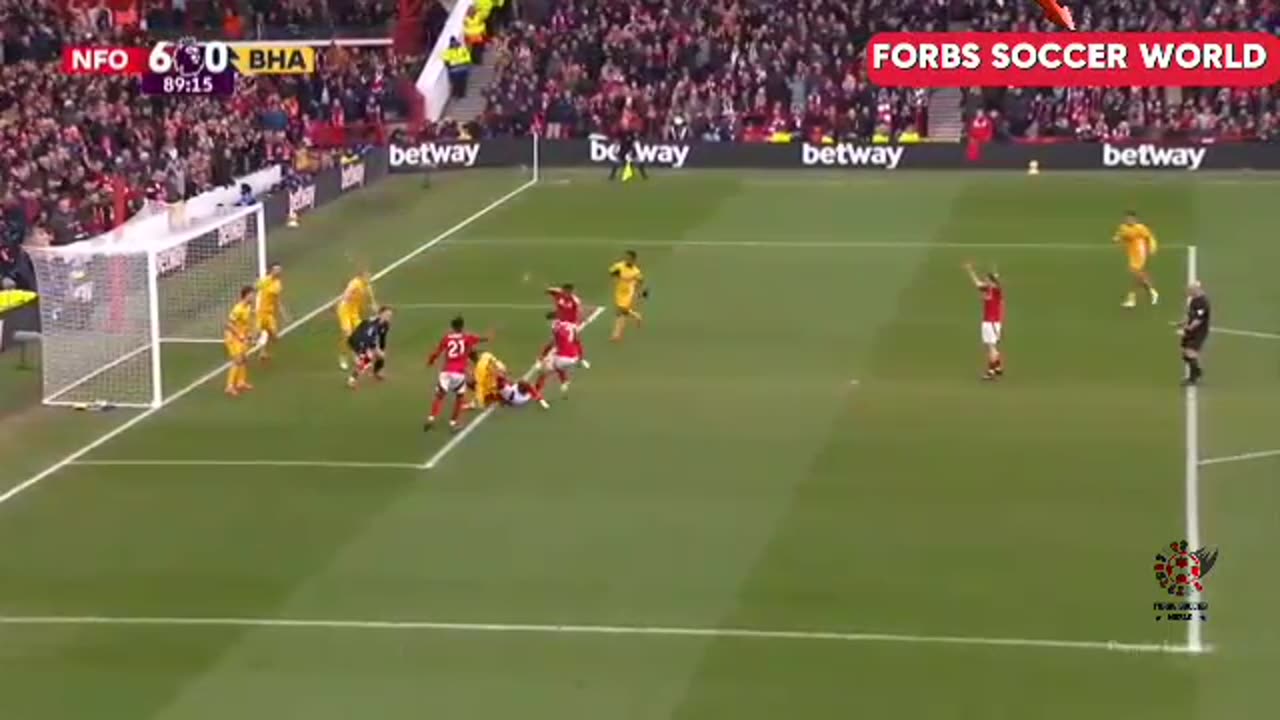 Nottingham Forest Vs Brighton highlights