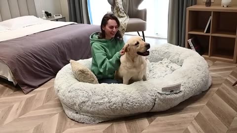 giant pet bed humans dogs washable fur