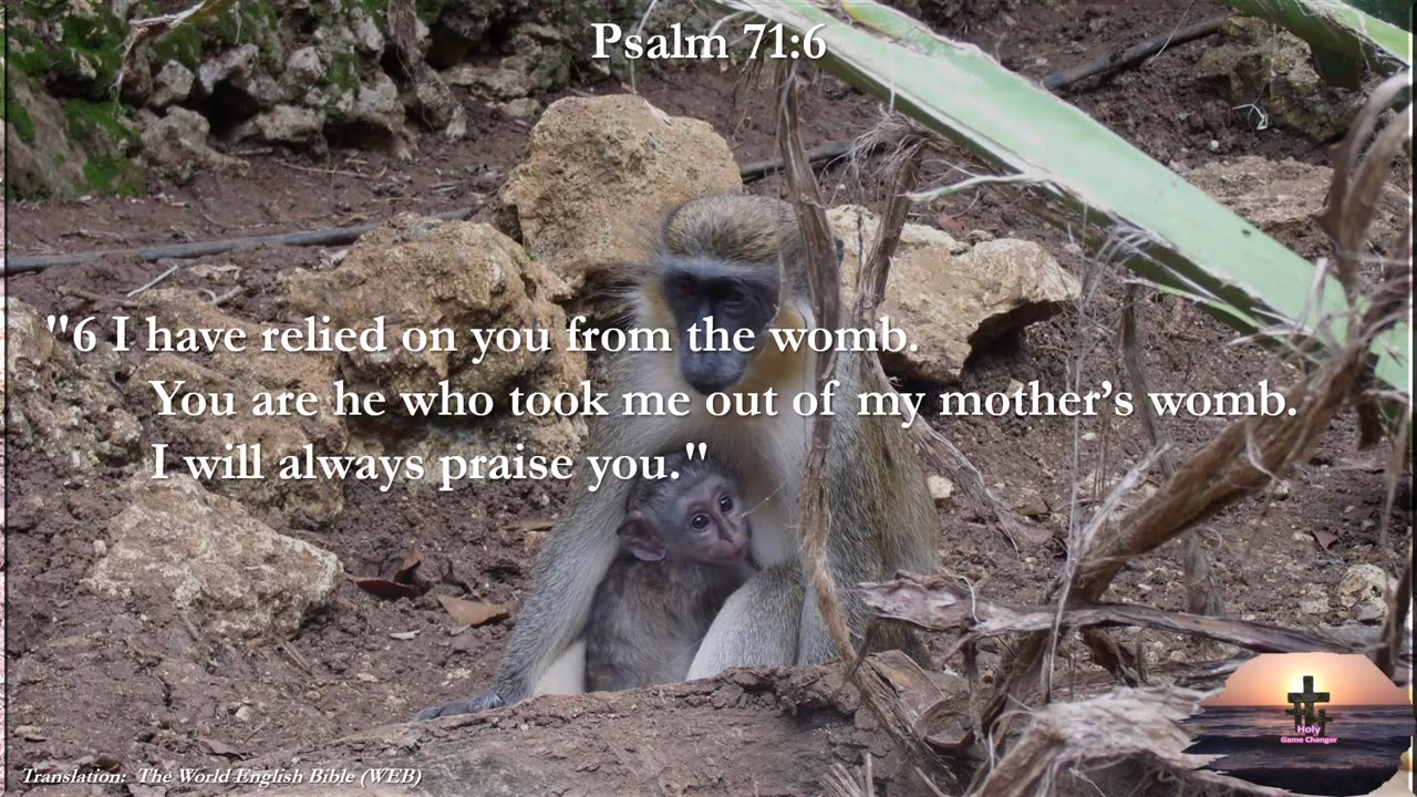 Psalm 71:6