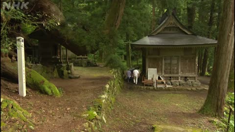 にっぽん巨樹の旅ミニ 「神様の木に会う 岩屋の大杉(福井・勝山市)」（10分）