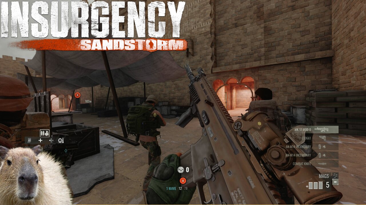 Sandstorm Sunday (I just wanna drum mag the AK) | Insurgency Sandstorm Gameplay Live Stream