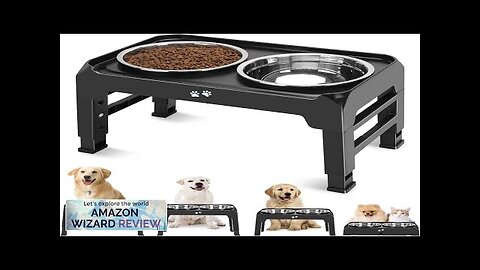 Elevated Dog Bowls 4 Height Adjustable Raised Dog Bowl Stand with 2 Review