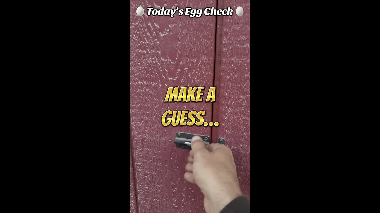 🥚 Today’s Egg Check! 🥚