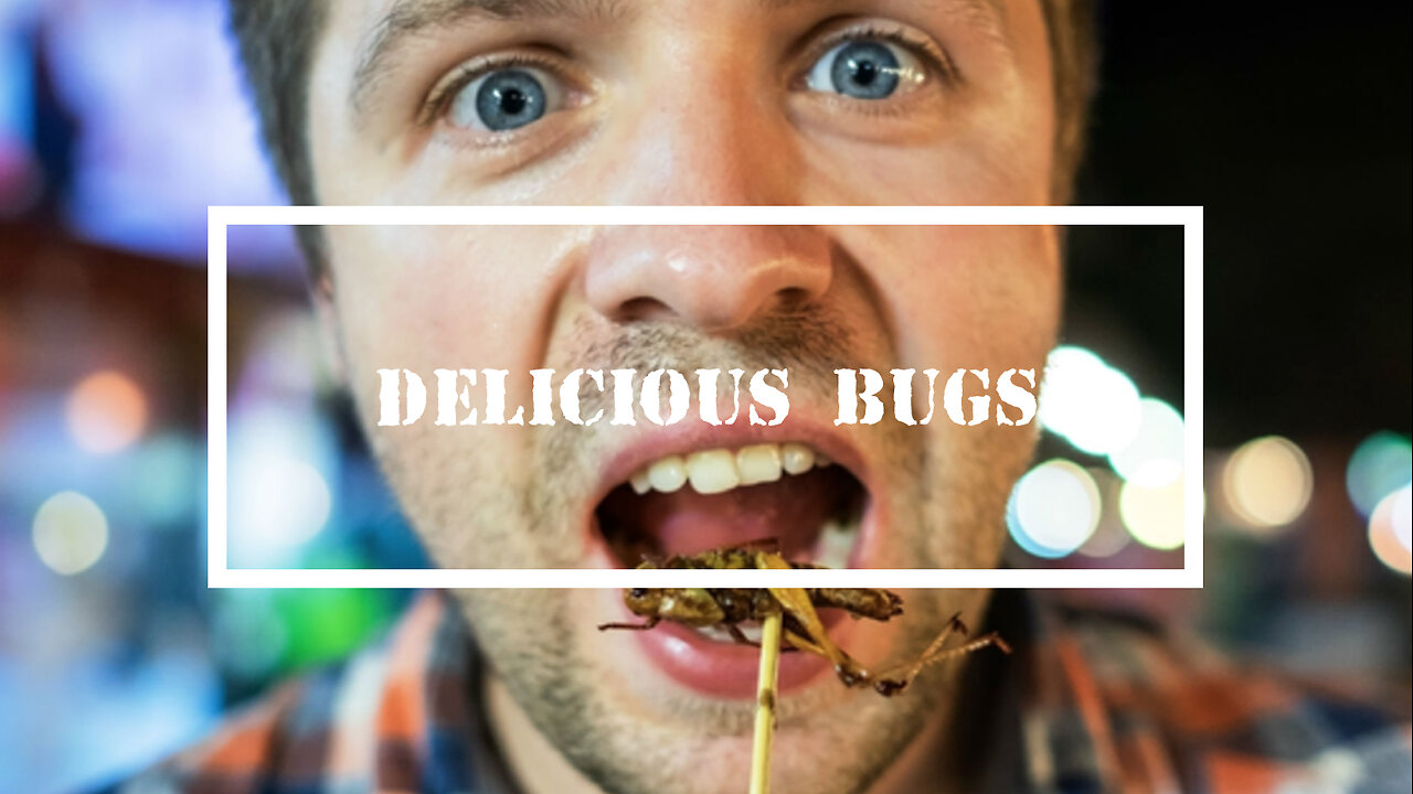 YOU WILL EAT BUGS, OWN NOTHING AND BE HAPPY (SERIOUSLY)