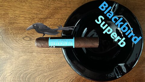 Blackbird Superb cigar review