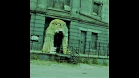 A Collection of Videos