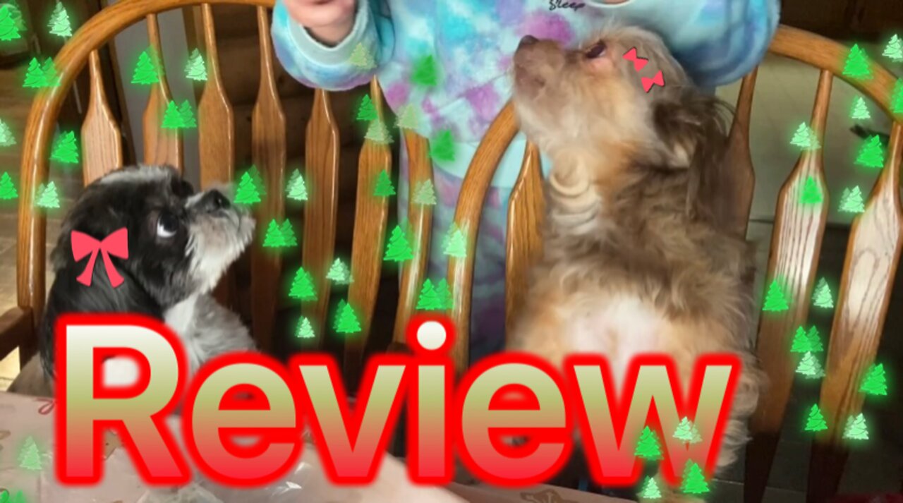 Dogs Review Bonkers Barkery Turkey Flavor Holiday Biscuit Christmas Trees