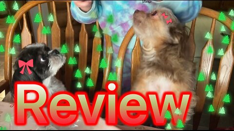 Dogs Review Bonkers Barkery Turkey Flavor Holiday Biscuit Christmas Trees