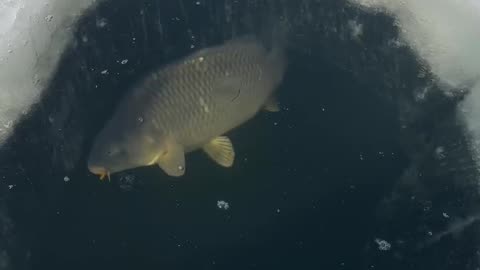 Fishing on a frozen lake