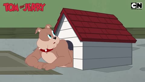 Funny Tom and Jerry_ Tom’s Noisy Revenge on Spike!