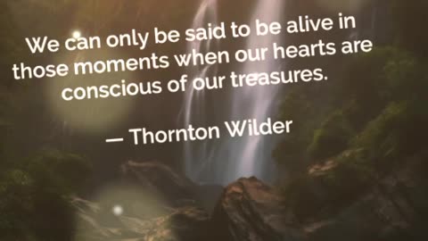 Your Qoute For A Day 118