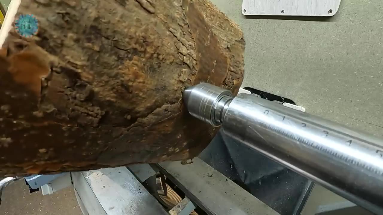 Woodturning - You've Got to Love a Laburnum Log !!