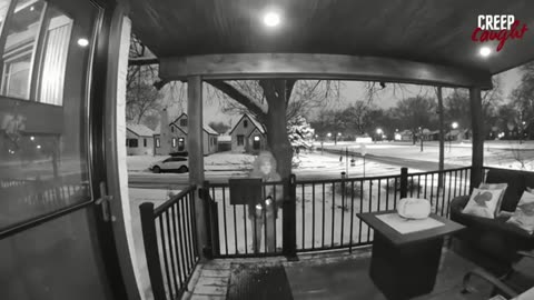 Moments Caught On Doorbell