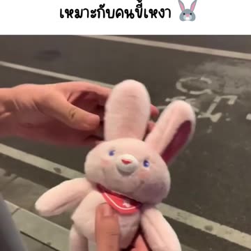 ยืดได้ยืดดี เหมาะกับคนขี้เหงา 🐰 https://s.shopee.co.th/3VVqRj1HFs