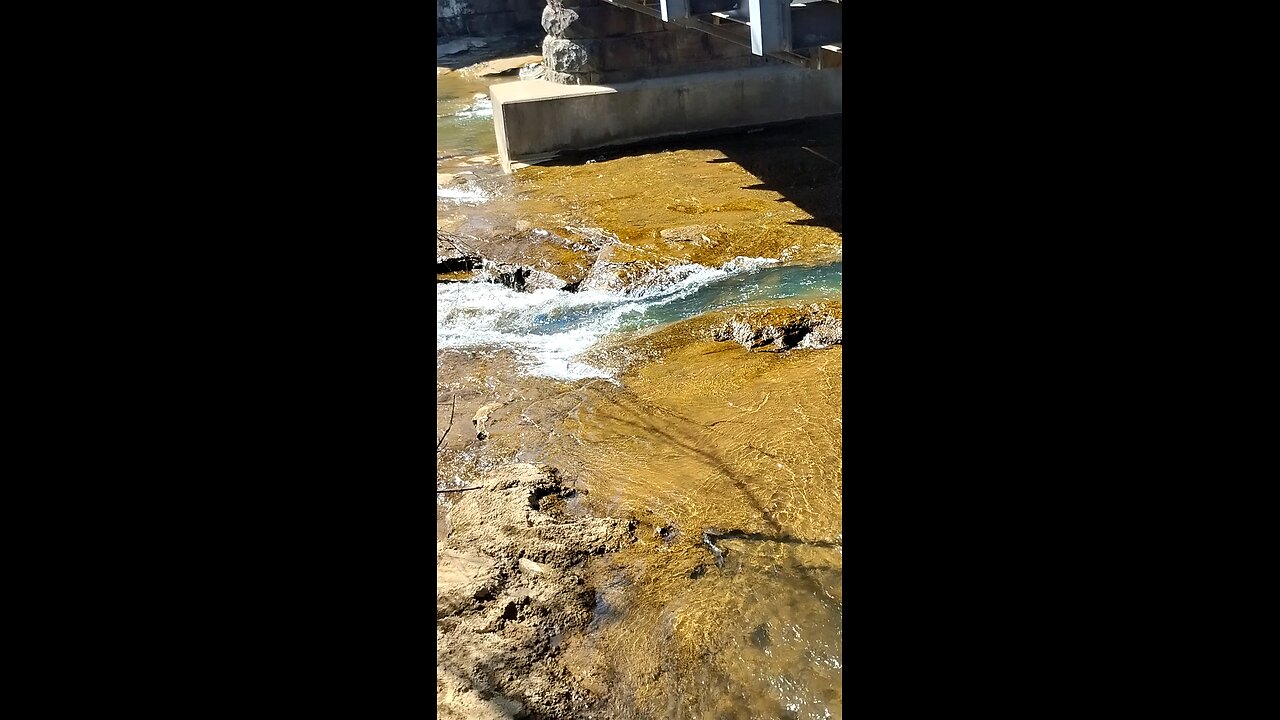 Peaceful stream