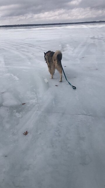 Ash Wednesday March 5, As a father treats his own children