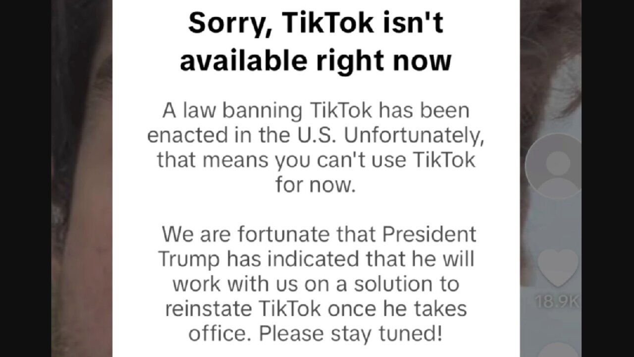TikTok Back After Mass TikToker Panic Attack