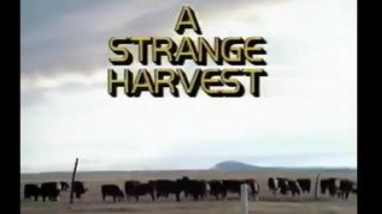 A strange harvest (1980)