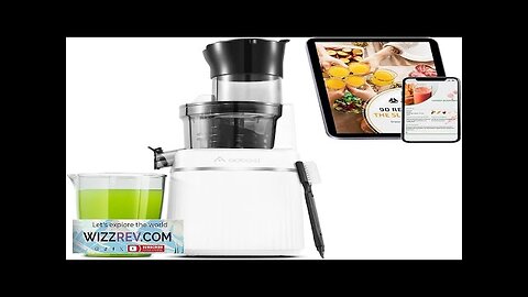 Aobosi Masticating Juicer Machine 2-In-1 Cold Press Juicer with Large Feed Chute Review