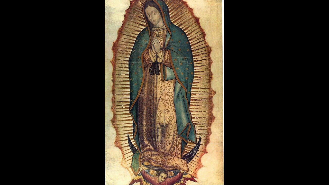 Massimo Paris: Our Lady of Guadalupe (Part 2)