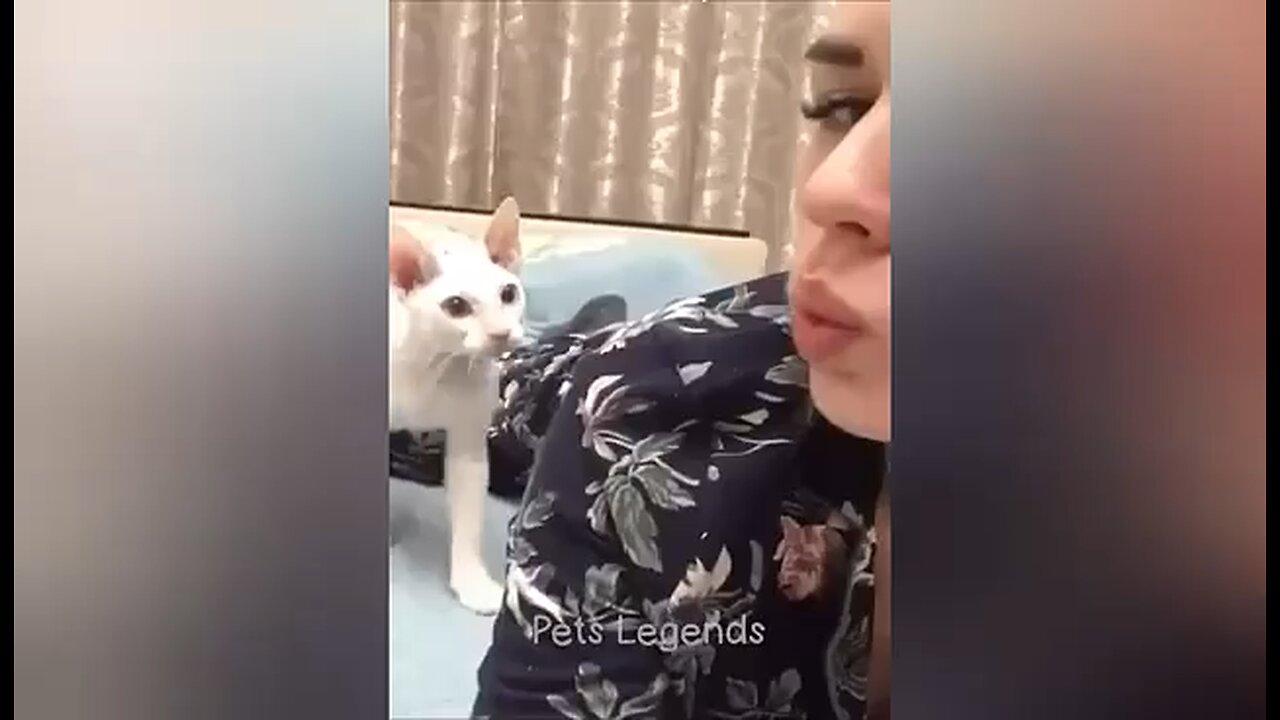 Funniest animal video