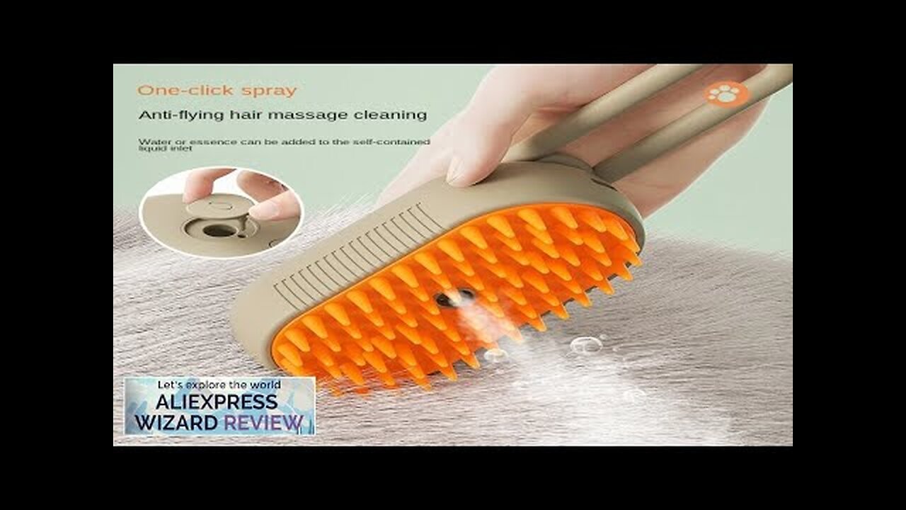 Cat Steam Brush Steamy Dog Brush 3 in 1 Electric Spray Cat Review