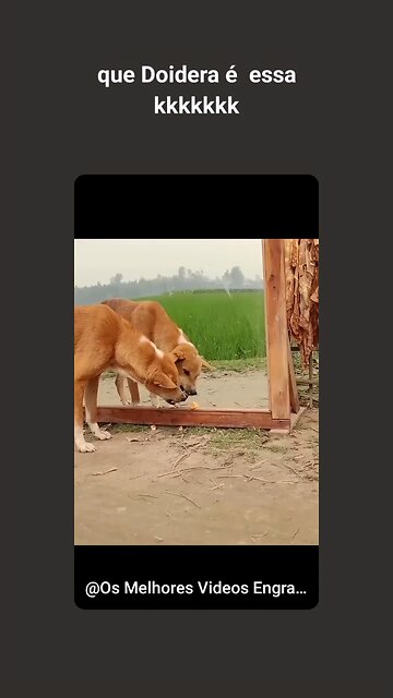 🫨🫨🫨🫨🤣🤣🤣😭😭🤣🤣🤣🤣🤣