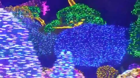 Every winter the Garden of Morning Calm near Seoul Korea shines bright with illuminations under the dark skies