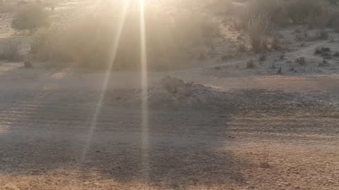 WIDE OPEN SPACES, RURAL TANZANIA, NEVER SEEN BEFORE FOOTAGE. ROAD TRIP TANZANIA TO UGANDA. 40+ HRS!!