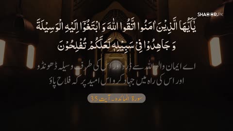 True Success Lies in Obedience to Allah | A Message for Believers