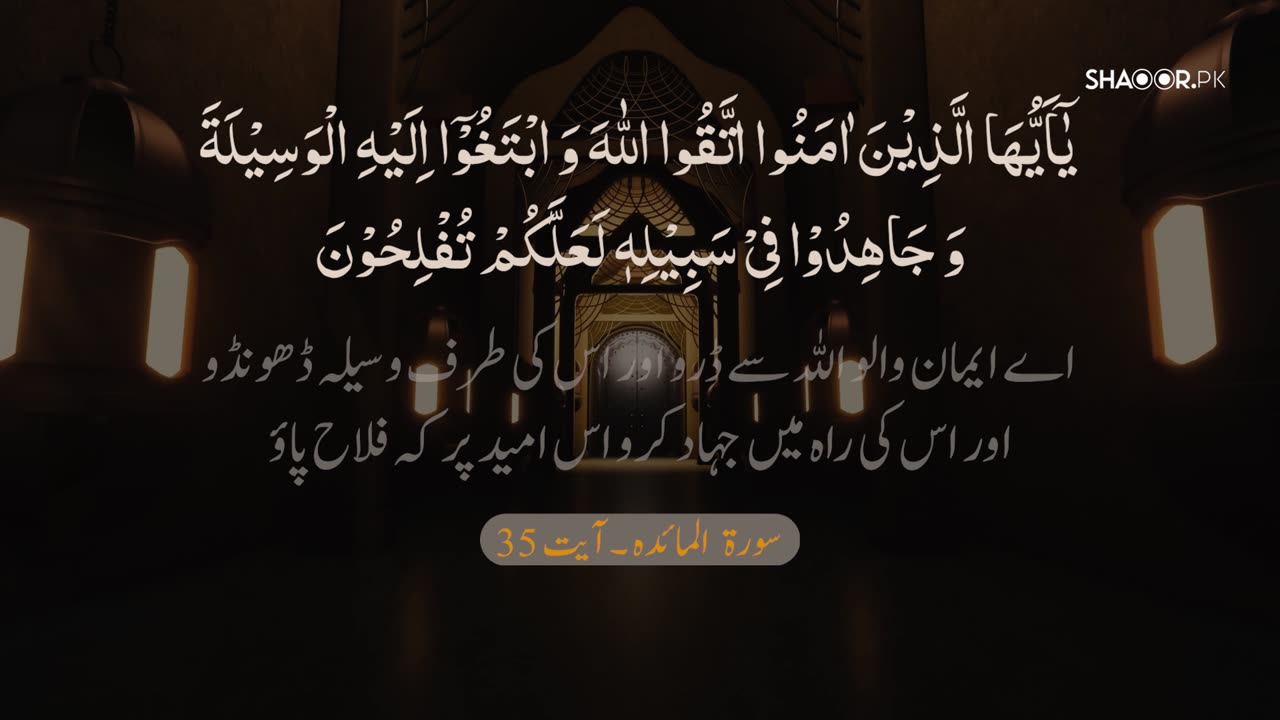 True Success Lies in Obedience to Allah | A Message for Believers
