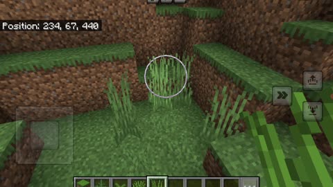 Ferns and Grasses in Minecraft