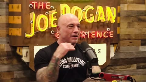 Joe Rogan Nukes CNN ☢️