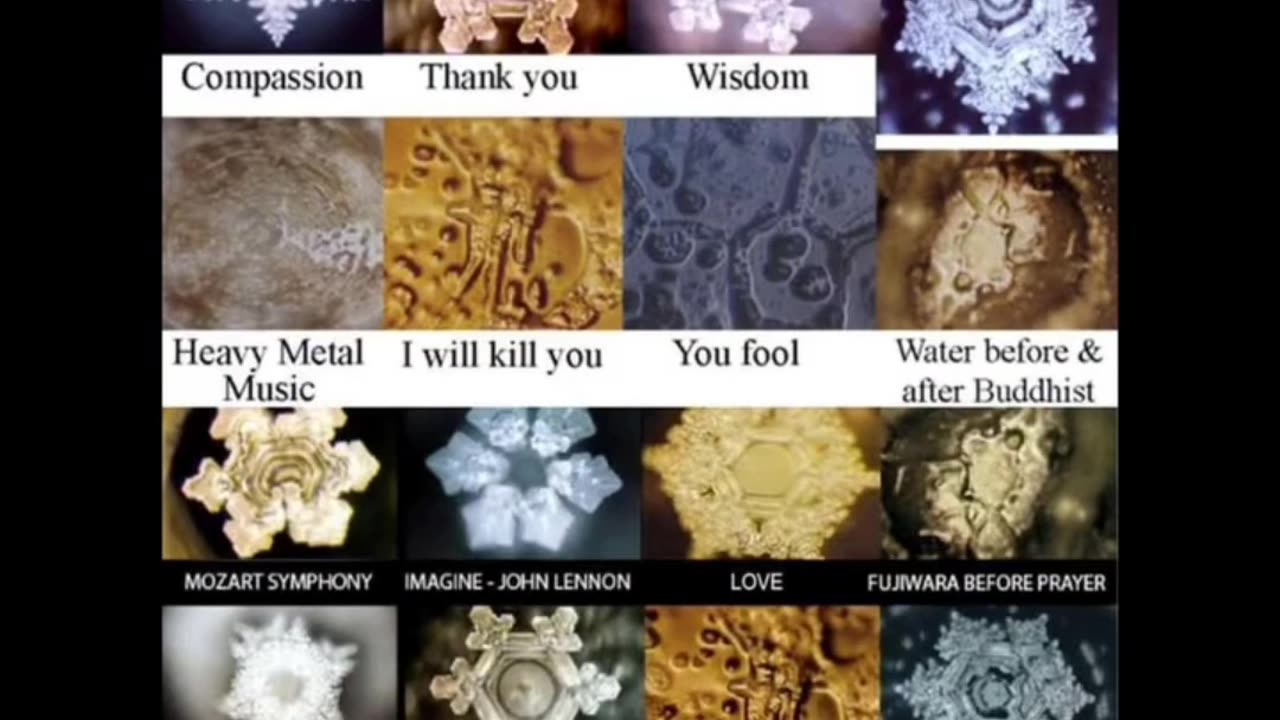 HEAL yourself Heal the world