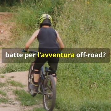 Cicli Casati_ Biciclette da Corsa e Mountanbike