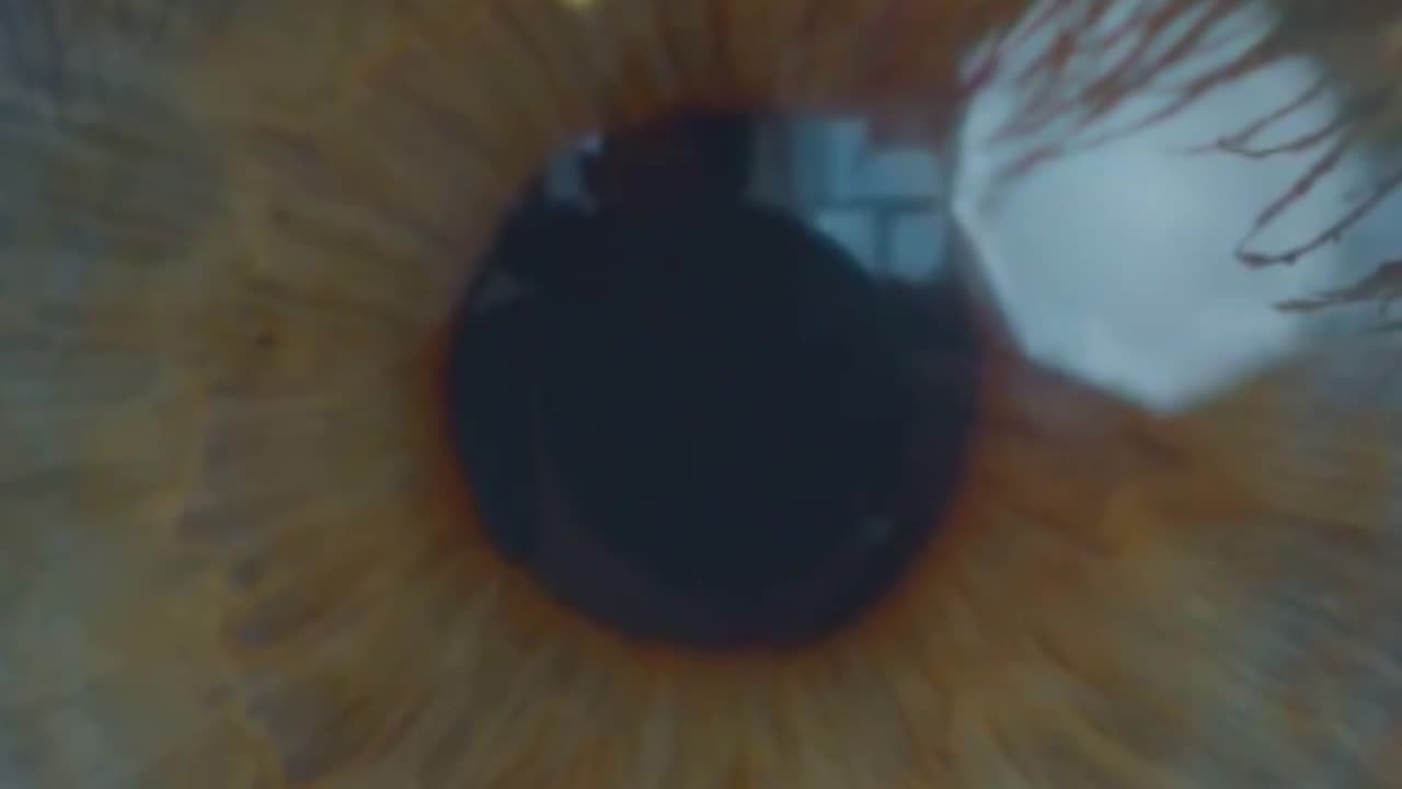 The Human Eye Macro Zoom