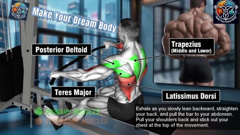 5 Back-Building Exercises You Can’t Skip! Get Strong & Defined!