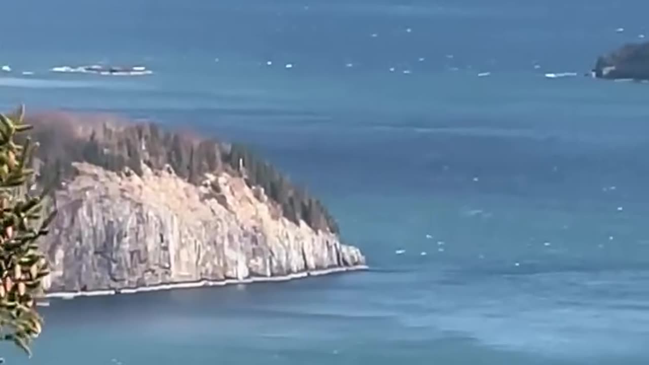 A death spiral is a courtship ritual and aerial battle performed by bald eagles