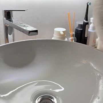 Very well trained kitty