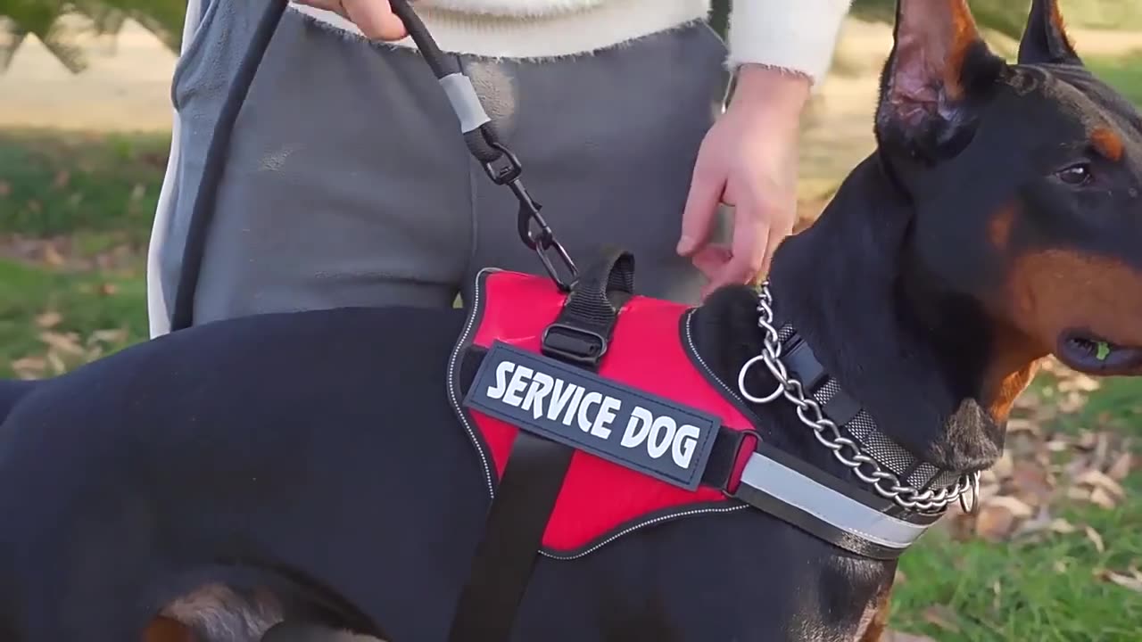 Dog Harness NO PULL Reflective Breathable Adjustable Pet Harness Vest